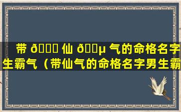 带 🐋 仙 🐵 气的命格名字男生霸气（带仙气的命格名字男生霸气两个字）